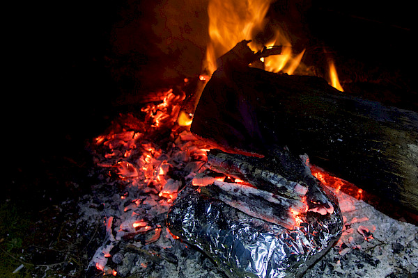 Campfire cooking in foil packet